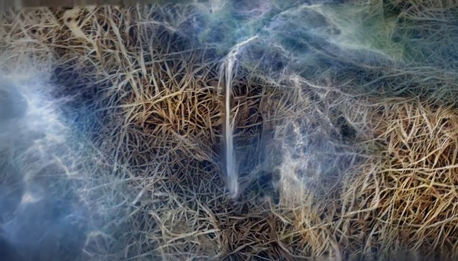 Alkemia - Image 4