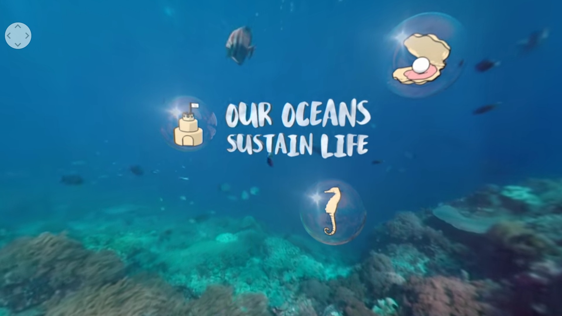 World Oceans Day 360° - Parlement européen - Image 1