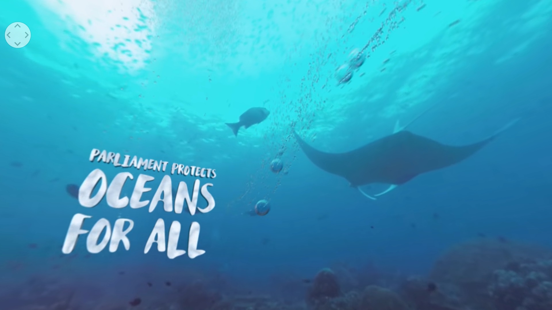 World Oceans Day 360° - Parlement européen - Image 4